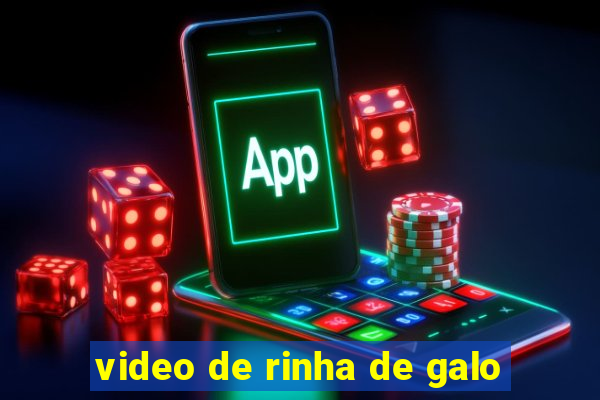 video de rinha de galo